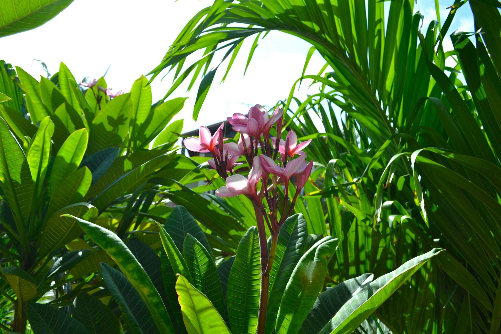 Wonders Boutique Hotel Oranjestad Esterno foto