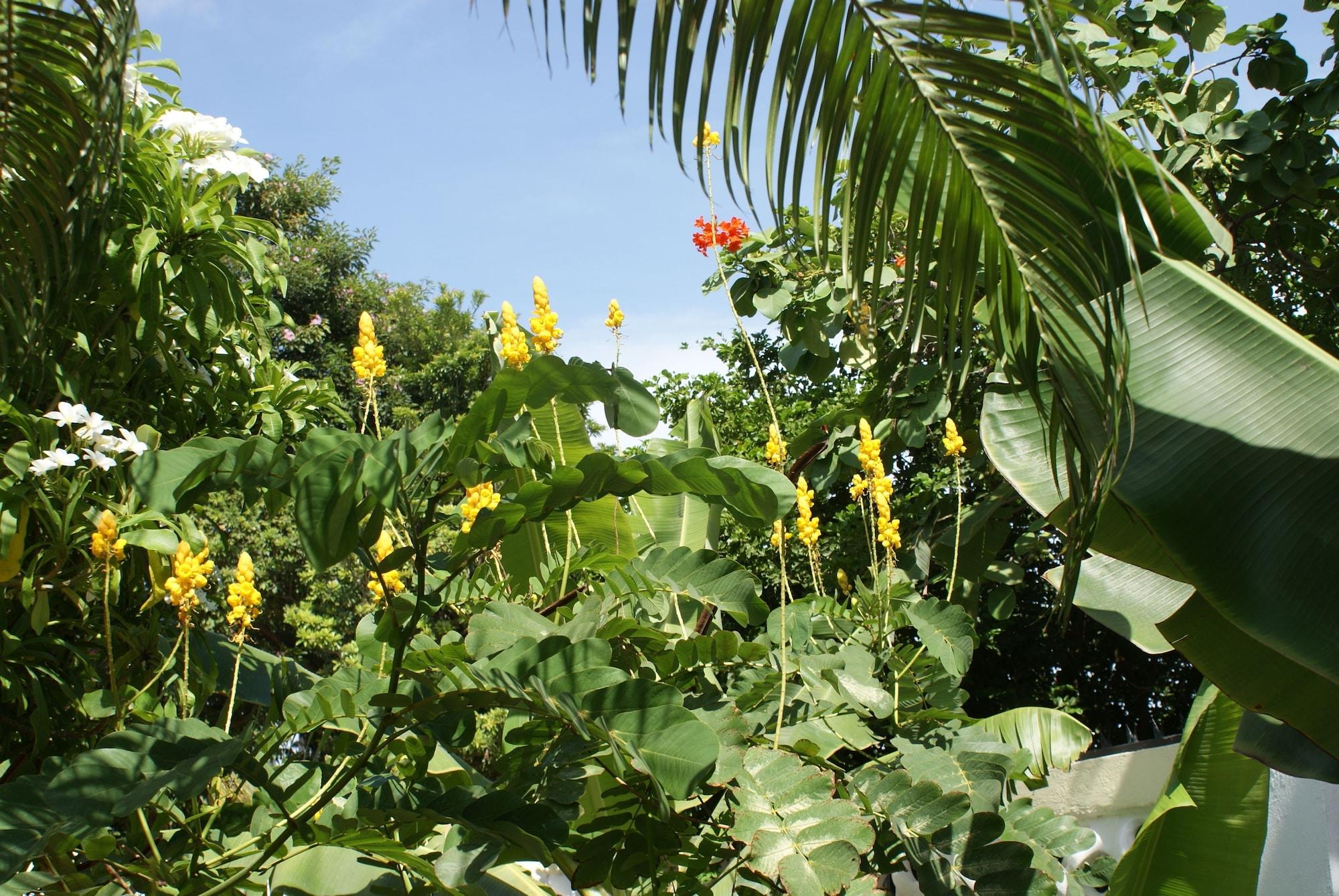 Wonders Boutique Hotel Oranjestad Esterno foto