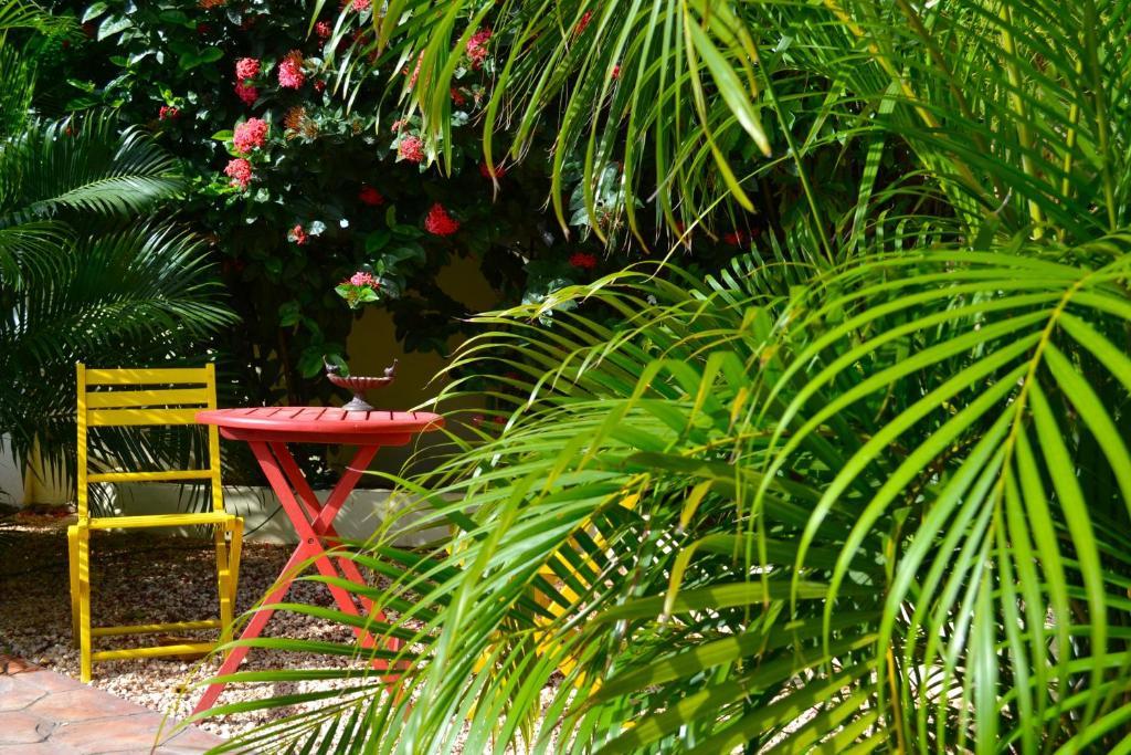 Wonders Boutique Hotel Oranjestad Esterno foto